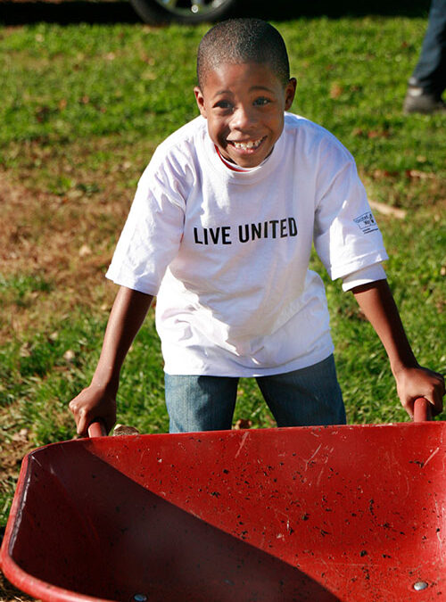 grow-your-own-wheelbarrel